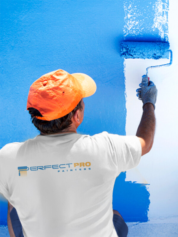 Ottawa Painters Main Photo